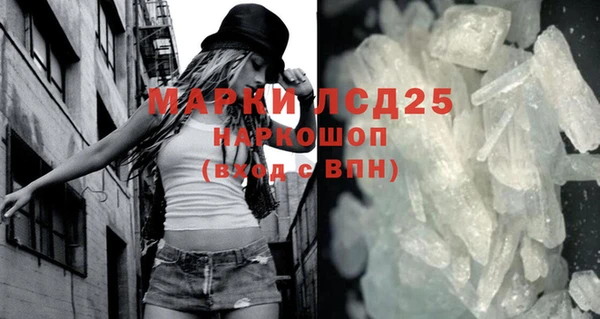 прущие грибы Алексеевка