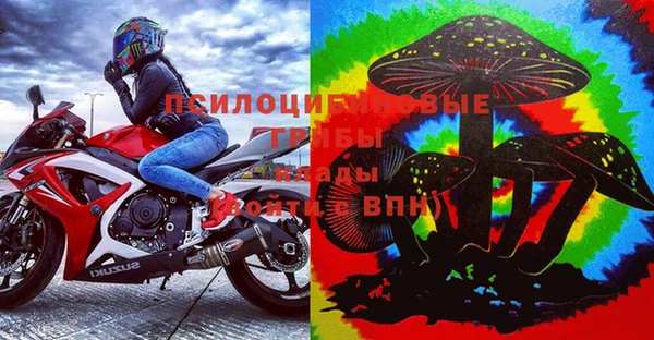прущие грибы Алексеевка