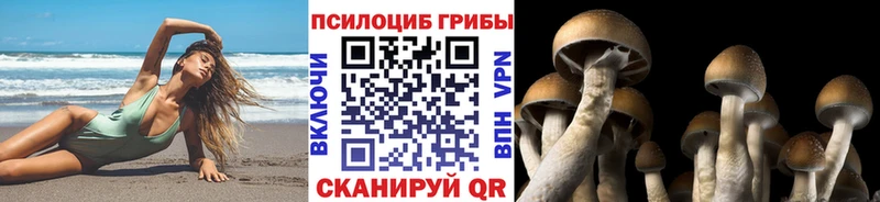 Галлюциногенные грибы мицелий  купить наркоту  Скопин 
